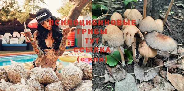 apvp Новодвинск