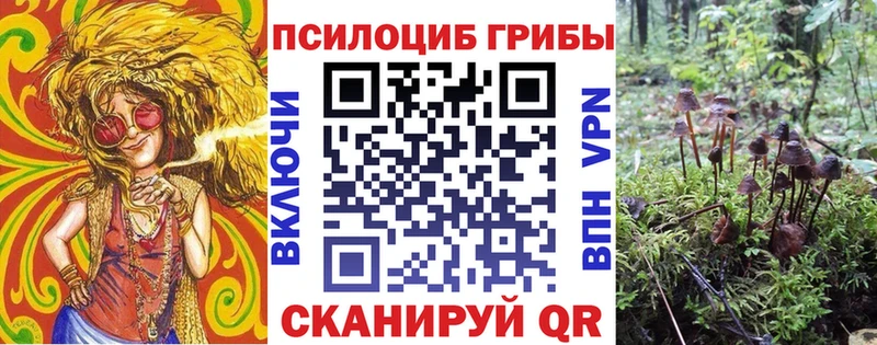 Галлюциногенные грибы прущие грибы  blacksprut tor  Ленинск 