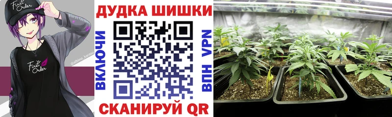Канабис гибрид  Ленинск 